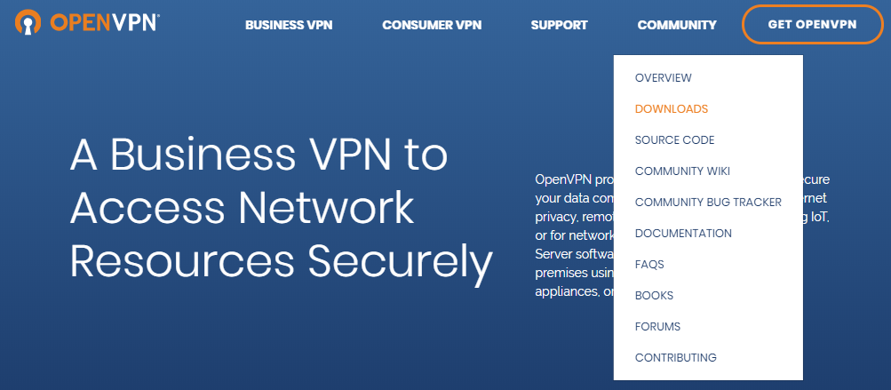 OpenVPN 다운로드